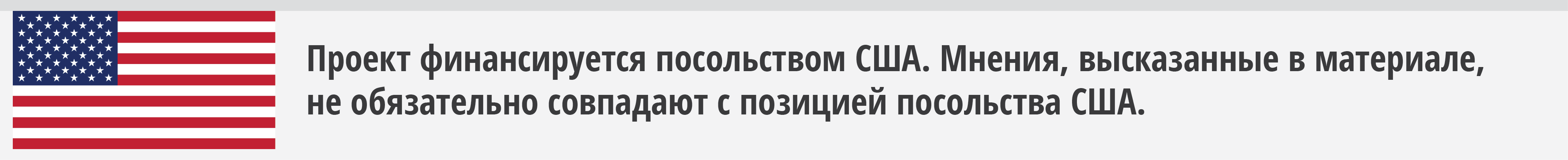 Disclaimer SanInfo ru-02